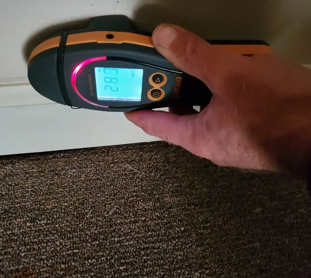 Moisture detection at baseboard during Mold Inspection & Testing in Huntingburg